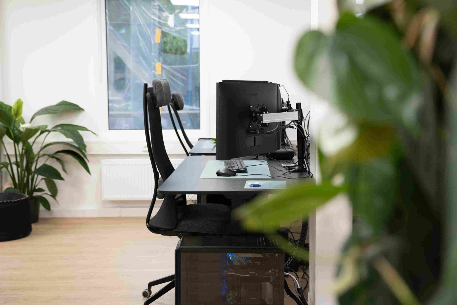 Büroarbeitsplatz mit Monitor, Tastatur und Bürostuhl, im Vordergrund Grünpflanzen
